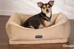 Beautyrest Ultra Plush Quilted Cuddler Dog Bed - Second Medium