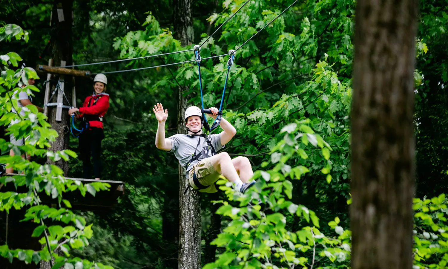 Aerial TreeTop (High Ropes) Adventure for 1 Child or Adult this Summer