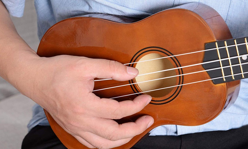 Image 13: Ukulele with Nylon Strings