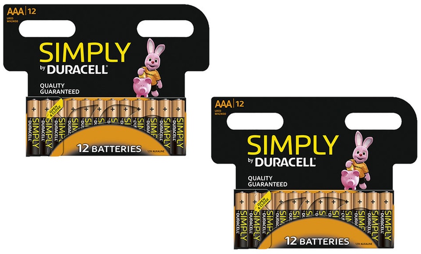 Image 7: Set van 12, 24 of 36 Duracell AA- of AAA-batterijen