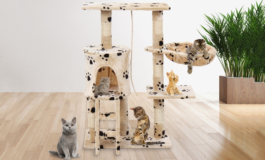 Image 13: Large Cat Activity Trees