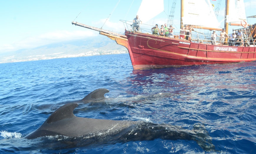 Image 2: Paseo en barco con comida