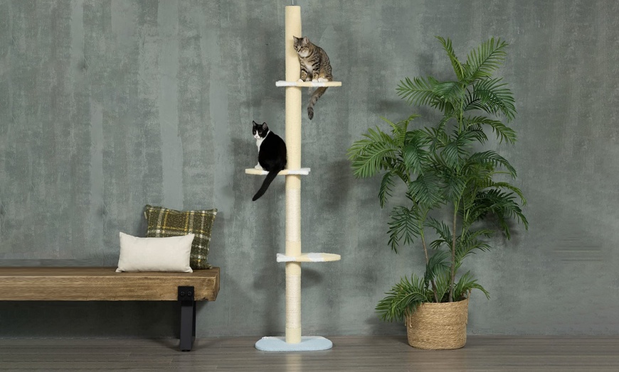 Image 11: PawHut Floor-to-Ceiling Cat Tree