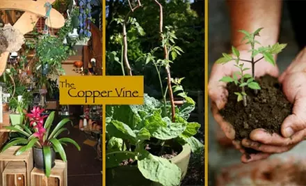 $10 for $25 Worth of Plants, Flowers, and Garden Supplies at The Copper Vine - Primary Image