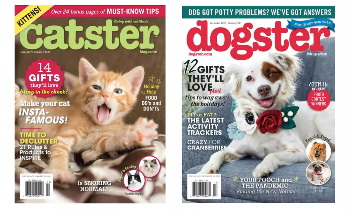One-Year Subscription Dogster or Catster (40% Off) - Primary Image