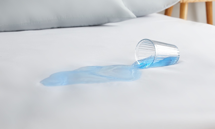 Image 1: Silentnight Waterproof Mattress Protector - Multipack