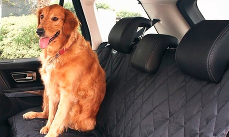 Fino a 3 protezioni auto per animali domestici