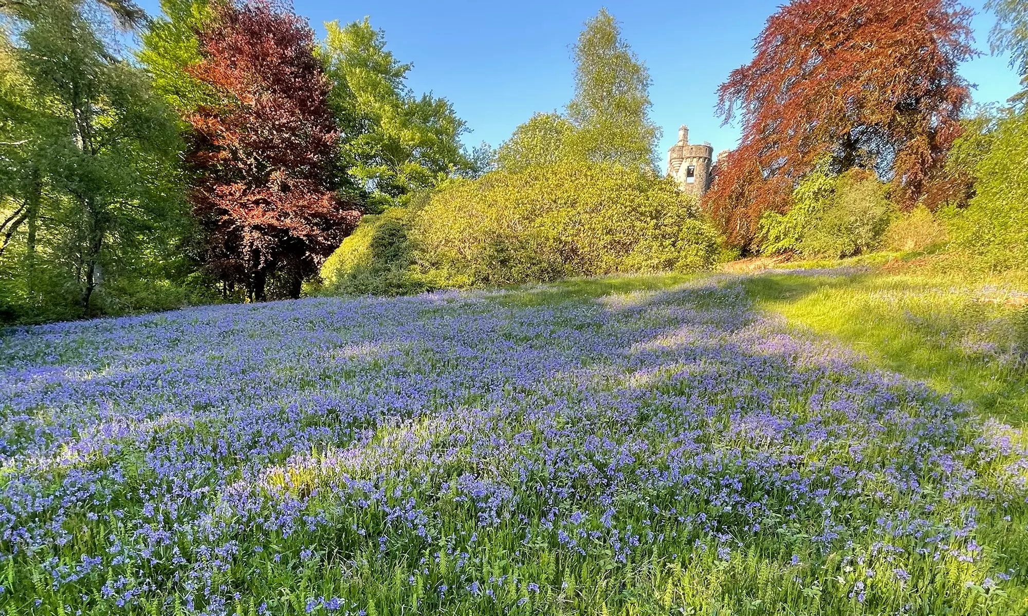 Word Lord of Lady van Dunans Castle