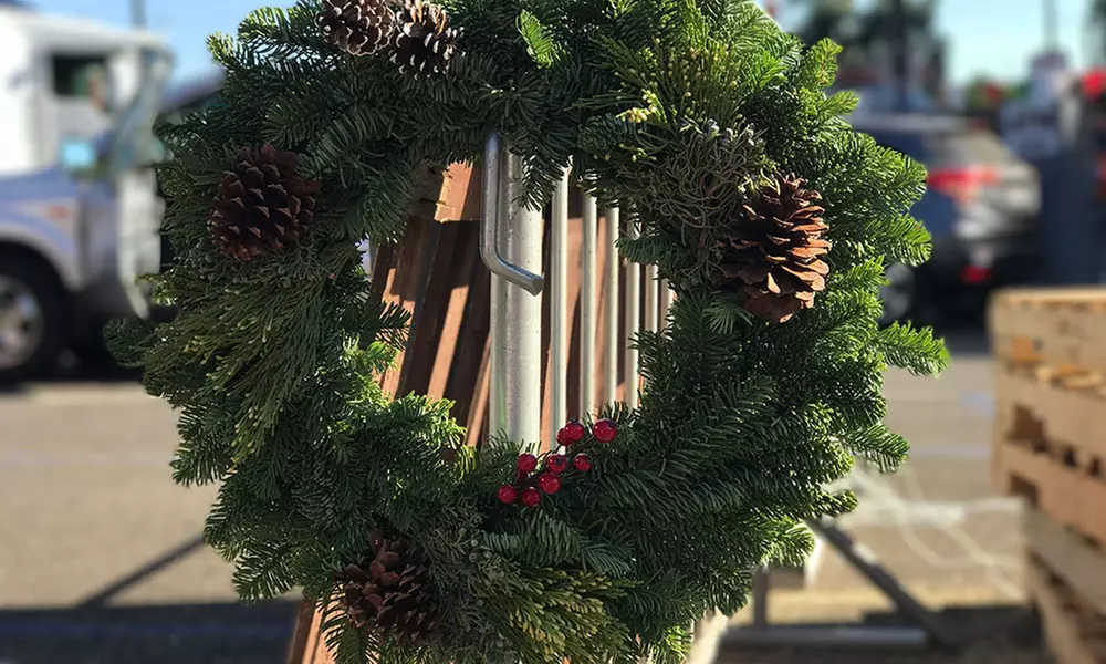 Make Your Holidays Merry with Hand-Selected Christmas Trees!