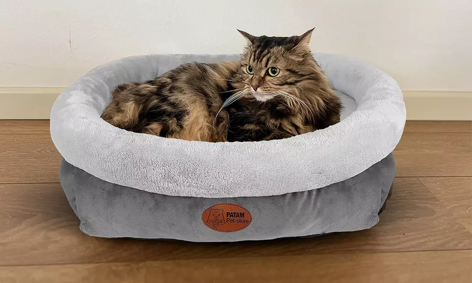 Cucce, lettini e divanetti per cani e gatti in vari modelli e misure