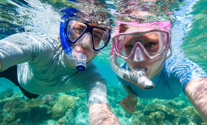 Image 4: Unforgettable Snorkeling Adventures, Discover Scuba Diving or Open Water Dive Courses