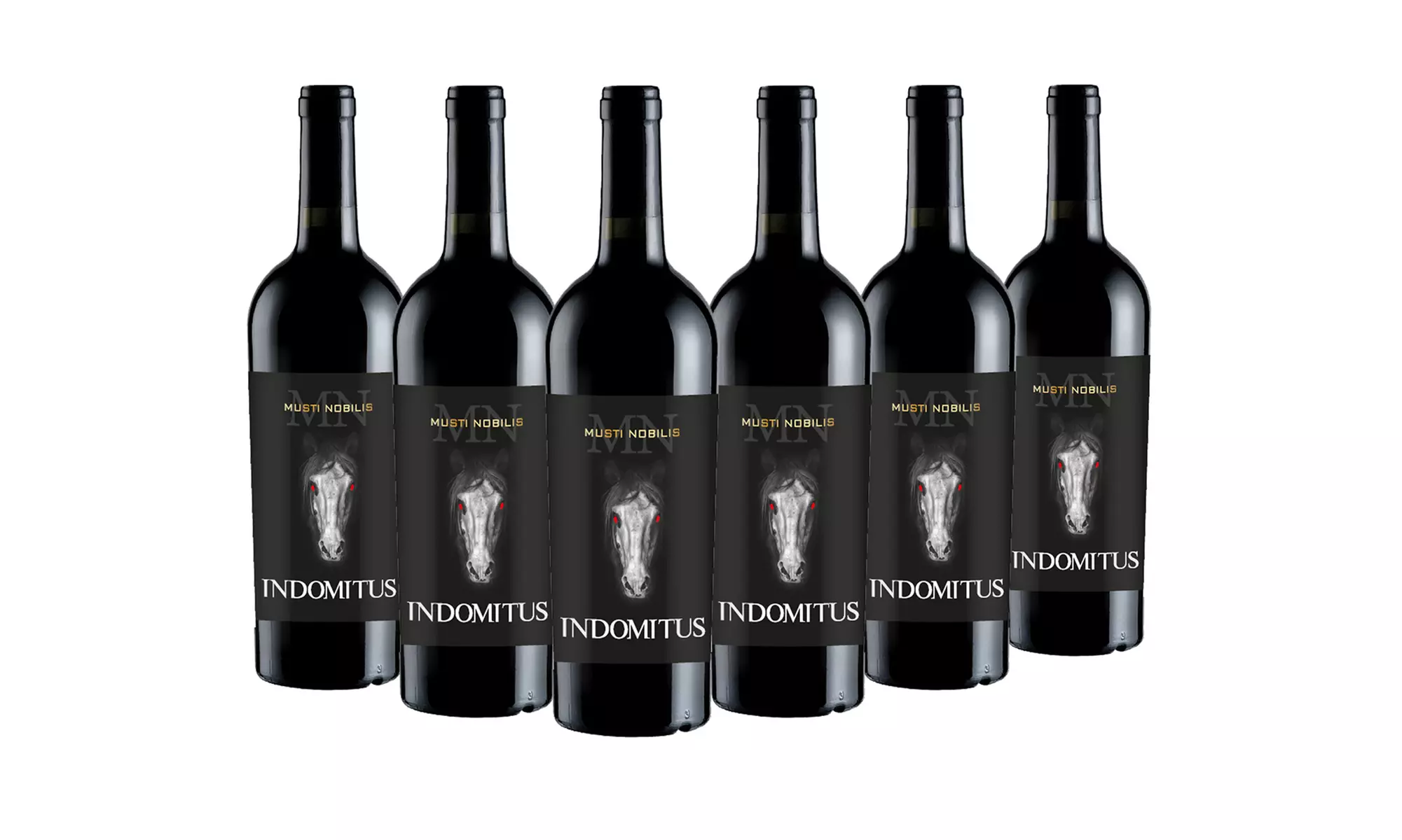 6 oder 12 Flaschen Cantina Musti Nobilis Rotwein (bis zu 13,56 € / L)