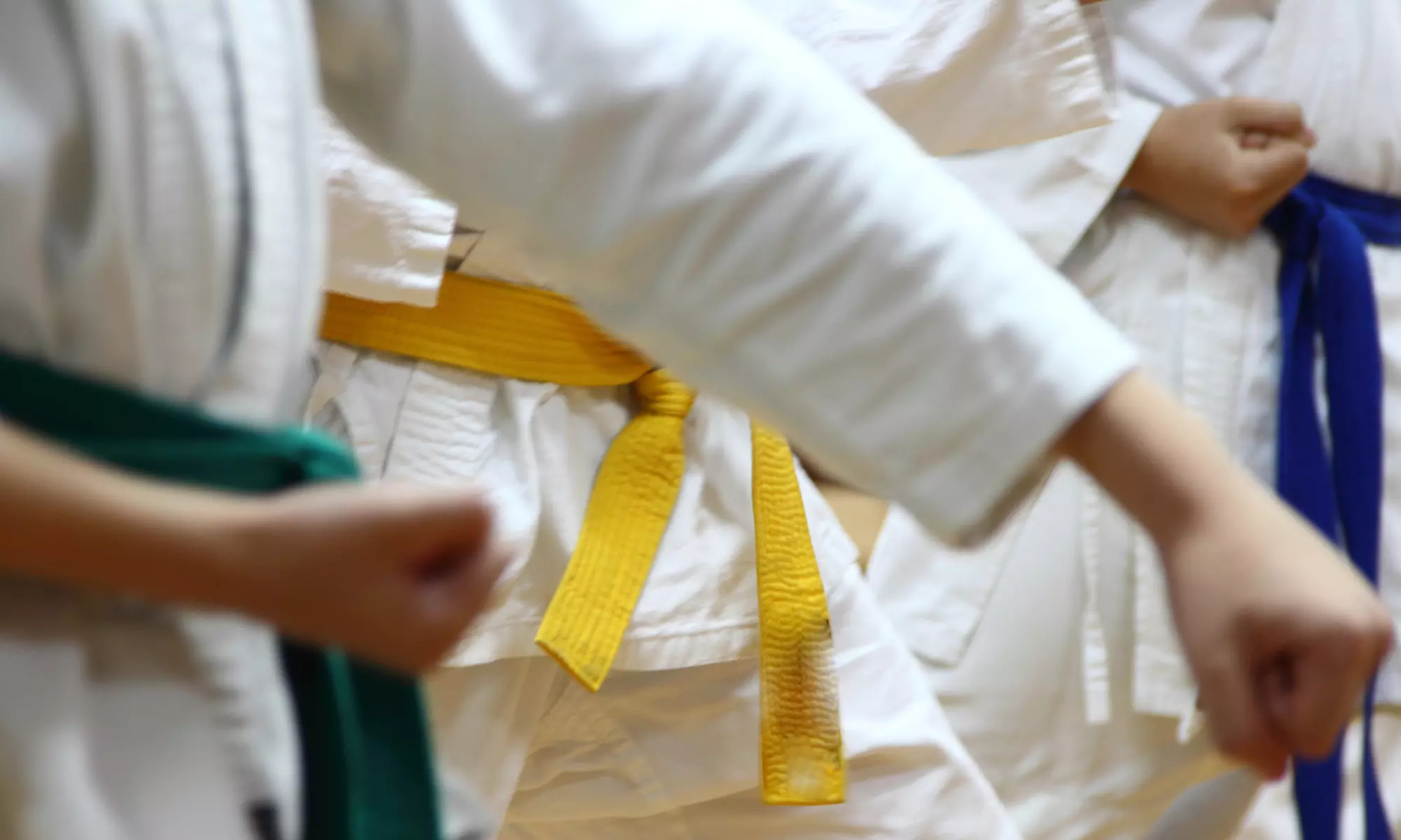 Four Weeks of Unlimited Karate Classes at Kyokushin Karate West LA (54% Off) - Primary Image