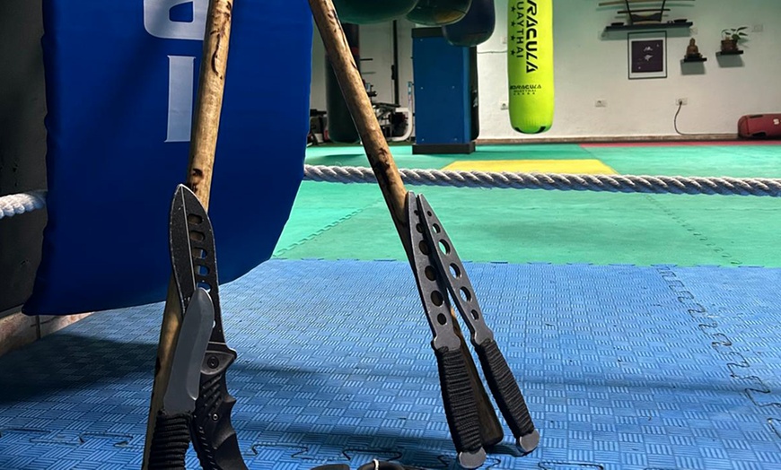 Image 4: Bono de 1 o 2 meses de clases de artes marciales para niños o adultos