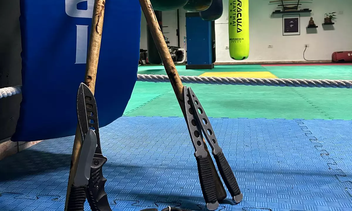 Bono de 1 o 2 meses de clases de artes marciales para niños o adultos