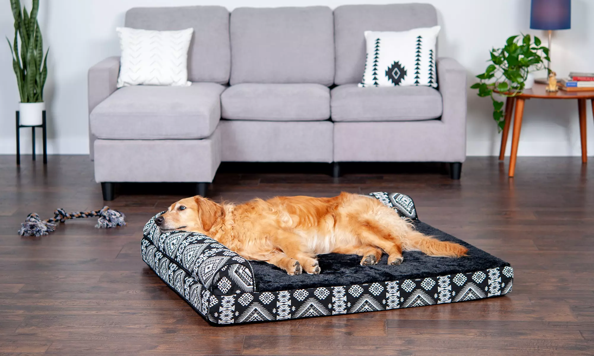FurHaven Southwest Orthopedic Foam, Memory Foam, or Cooling Gel Chaise Lounge Dog Bed - Primary Image
