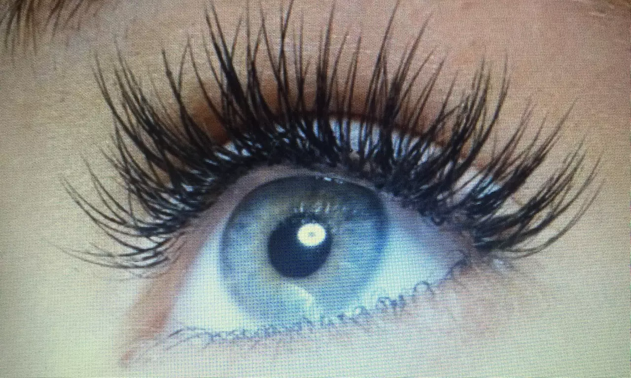 $99 for $247 Worth of Services — Whip Lashed - Primary Image