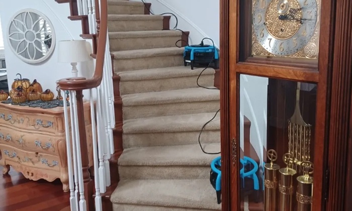 Carpet Cleaning for 2, 4, or 6 Rooms