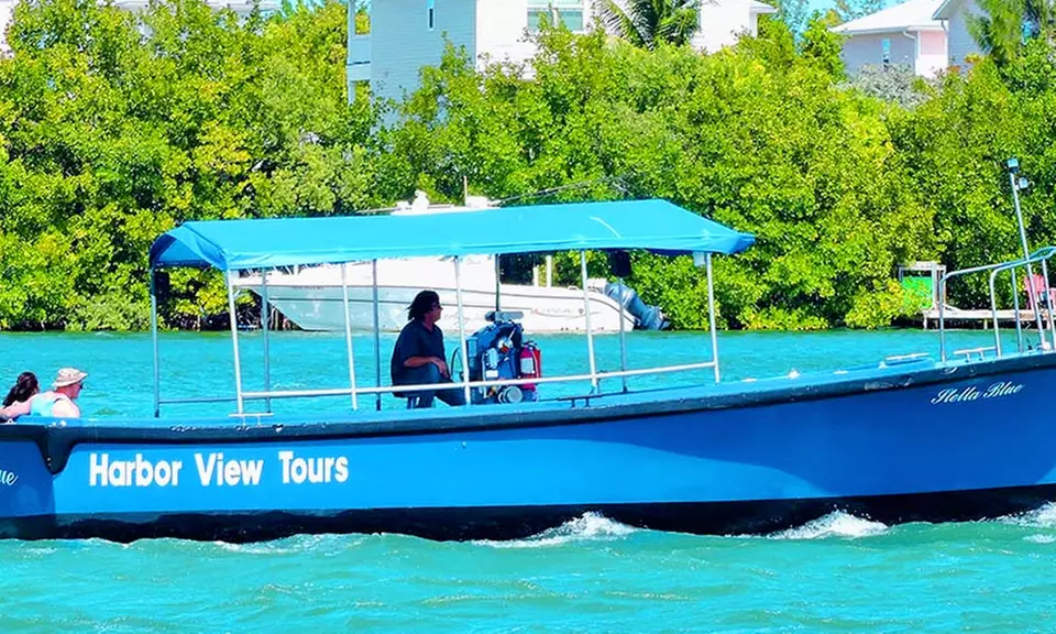 Daytime or Sunset Harbor Tour for One, Two, Three or Four at Harbor View Tours (Up to 55% Off) - Primary Image