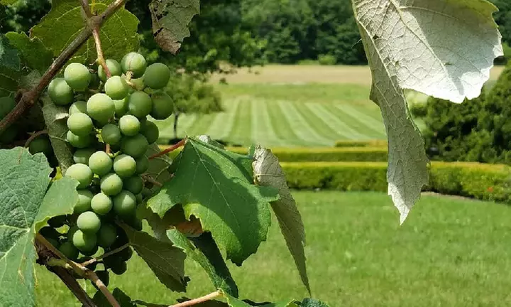 Wine Tour for One or Two from Hudson Valley Bucket List (Up to 36% Off)  - Primary Image