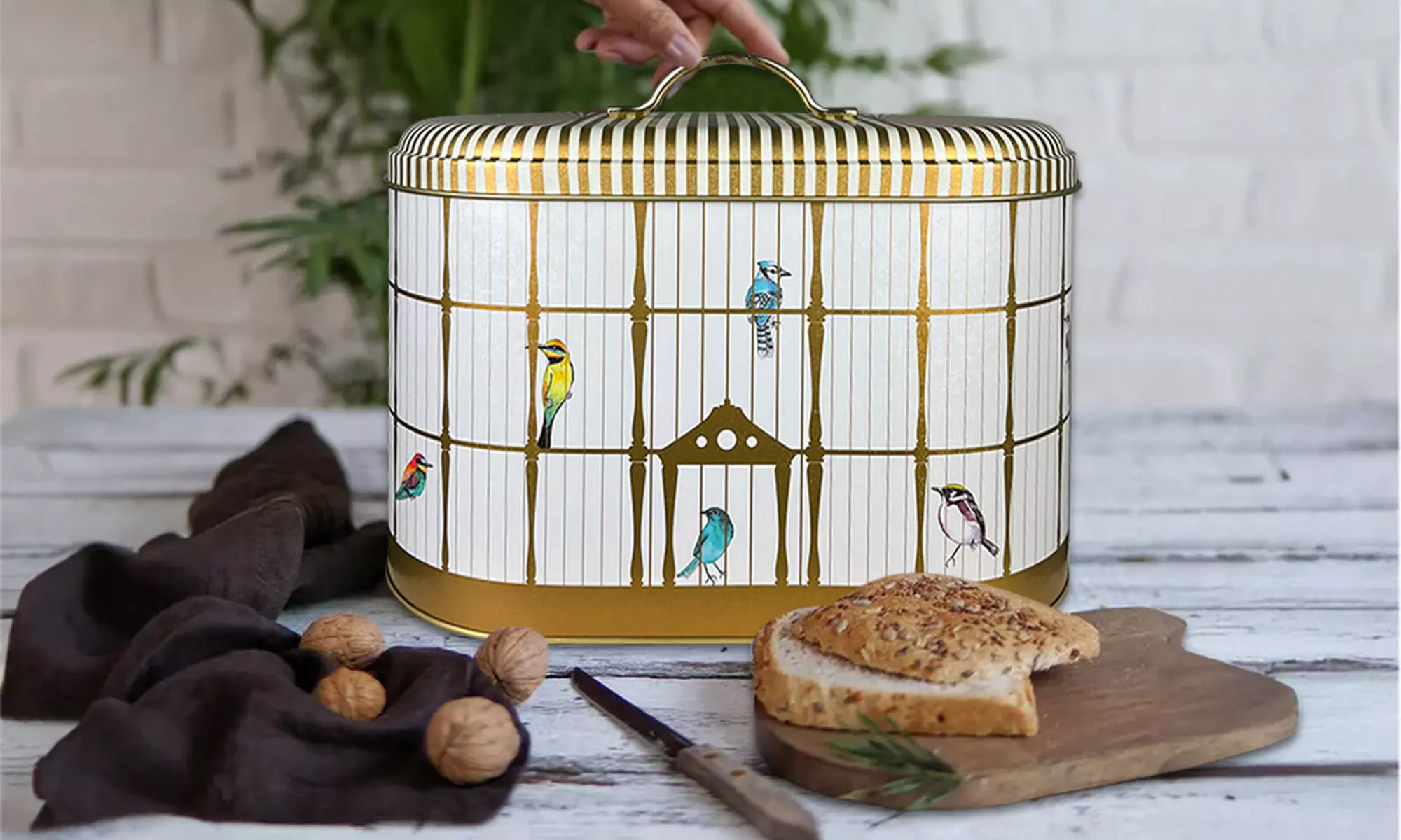 4er-Set Küchen-Aufbewahrungsdosen