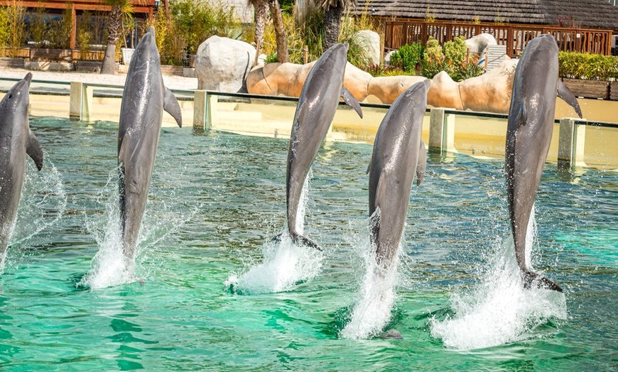 Image 6: Entrée au parc Marineland