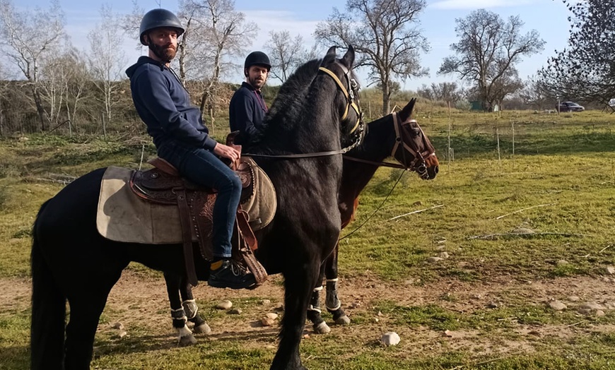 Image 3: Paseo a caballo de 1 hora con pincho y bebida para 2 o 4 personas 