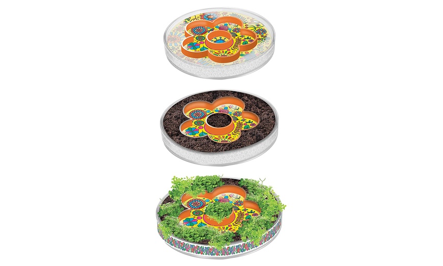 Image 3: Grow Your Own Chia Garden