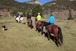 Ruta a caballo de 1 hora y media para 1 o 2 personas en Hípica Vilaformiu - Second Medium