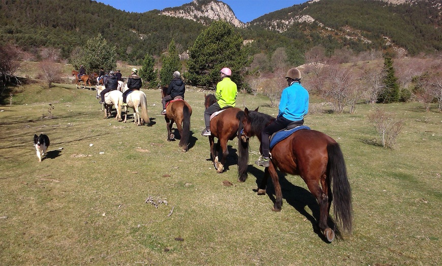 Image 7: Ruta a caballo para 1 o 2 personas en Hípica Vilaformiu