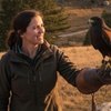 Image 1: Unforgettable Hawk & Golden Eagle Experiences - 1, 2 or 6 hours