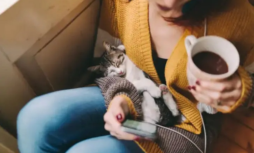 Image 1: Una tarde felina: acceso al salón para 2 o 4 personas con consumición