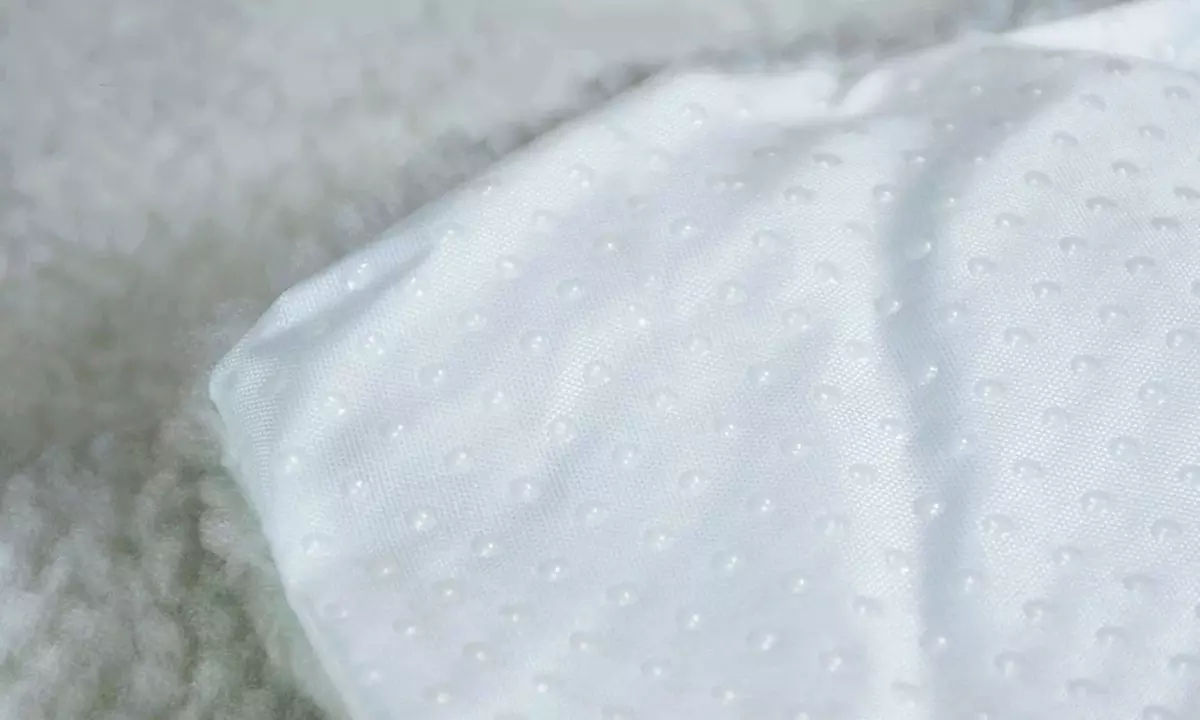 Tapis thermique déhoussable et lavable pour chien ou chat - Second Medium