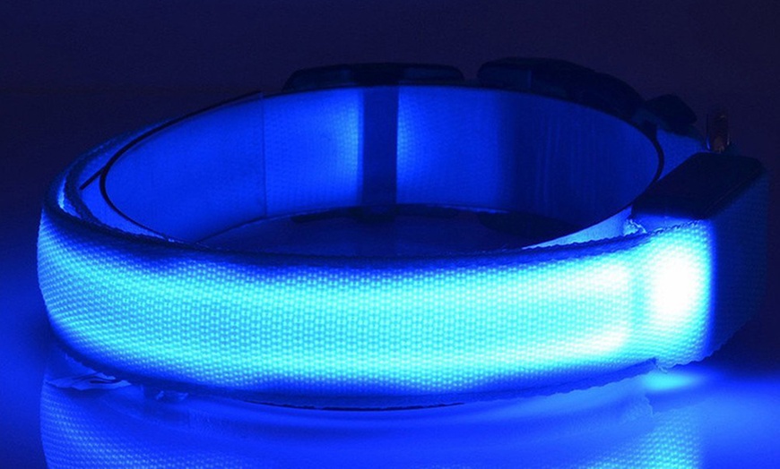 Image 2: Led-halsband voor honden