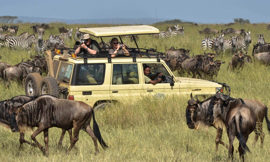 Image 18: Tanzania Safari