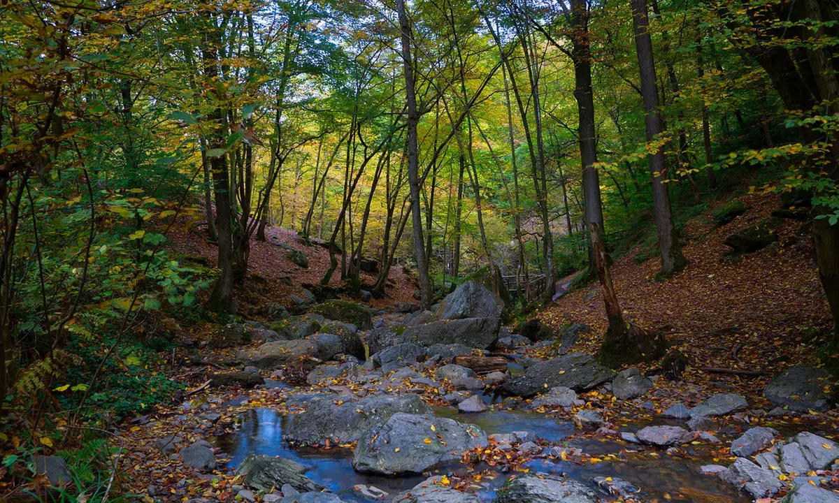 Belgische Ardennen: 2 Nächte für Zwei mit Frühstück, opt. mit 1x Flasche Cava und Abendessen, im Hotel Les 100 Ciels - Primary Image