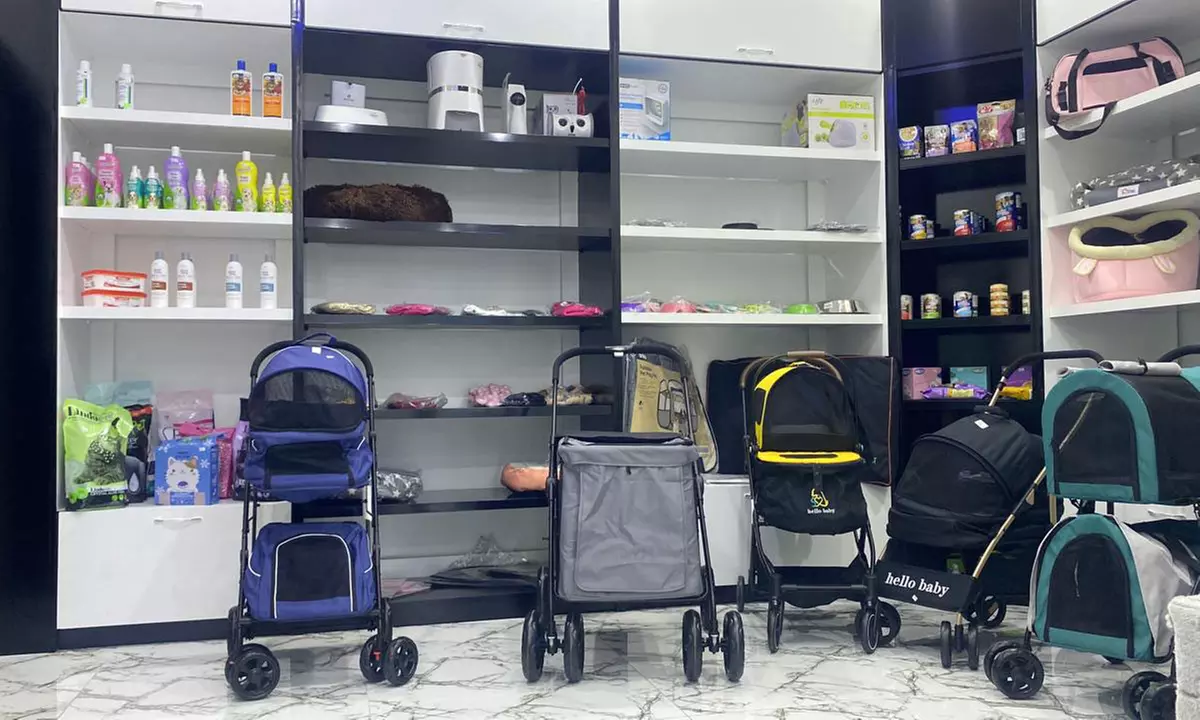 Get Specialized Vet Care for Your Pet at Cute Cat Veterinary Clinic