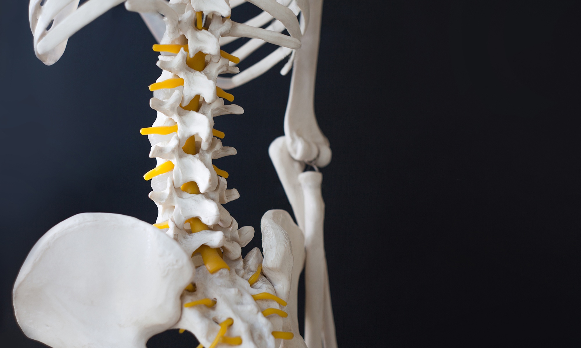 Experience spinal decompression and unique chiropractic therapies