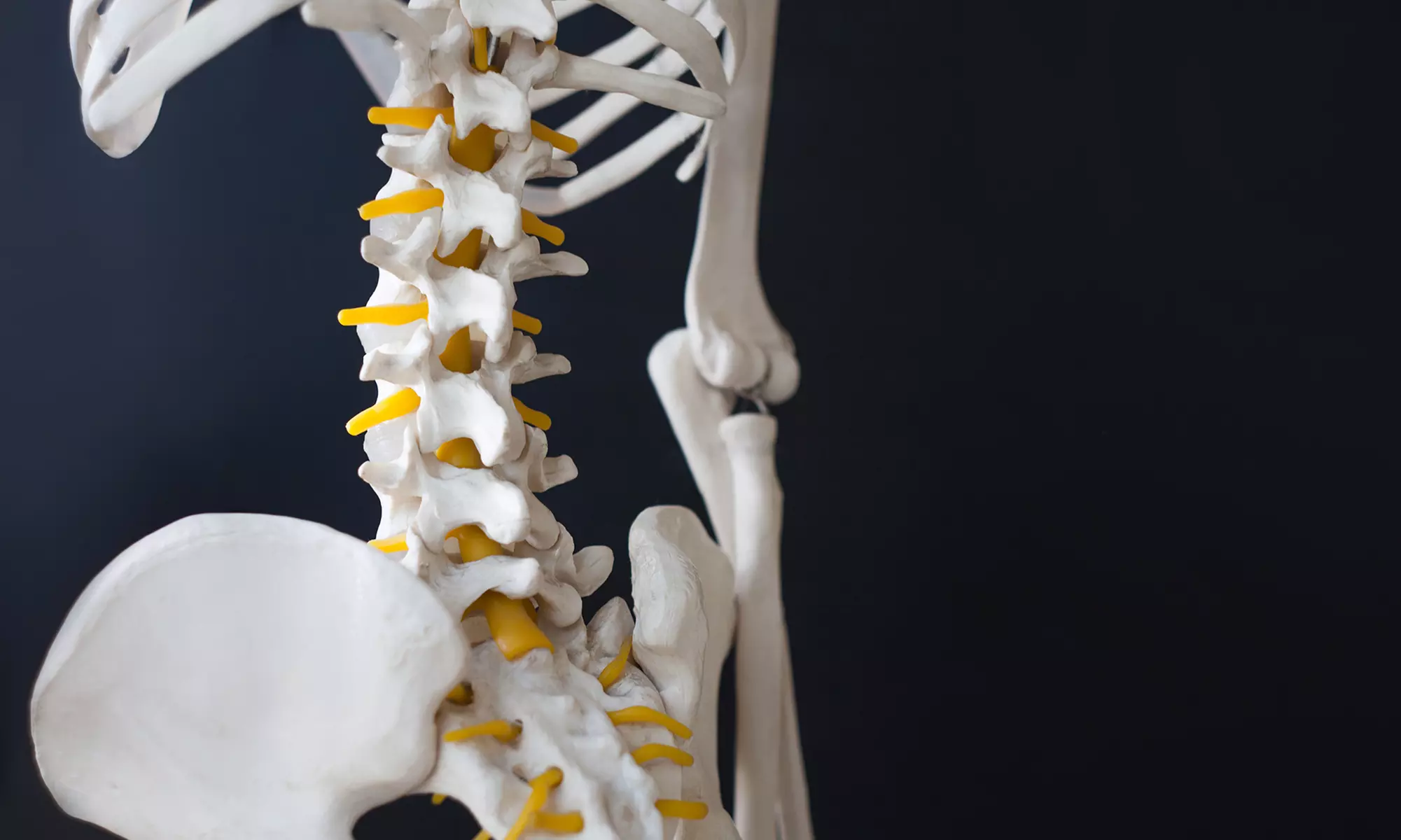 Discover Tri-County Chiropractic's innovative treatments like spinal decompression, up to 44% off, for optimal relief - Primary Image