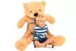 Oversized Super Soft Teddy Bear 90cm-250cm - Image 6