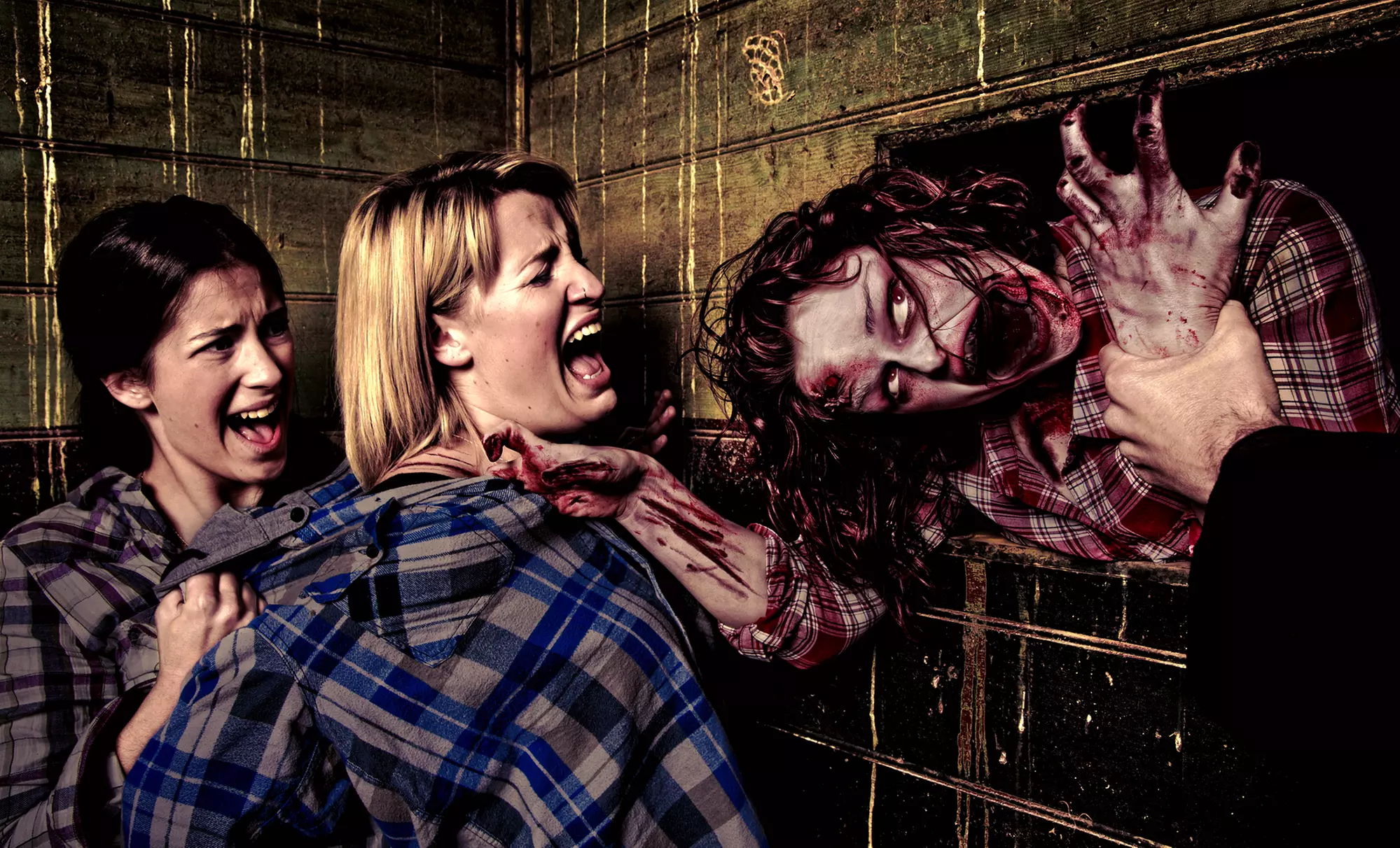 Haunted-House Visit for One at The Haunted House of Horrors (Up to 72% Off). Three Options Available. - Primary Image