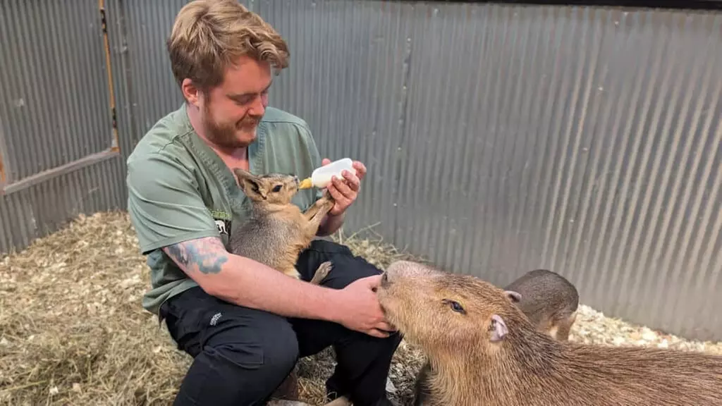 Hands-On Safari: All-Day Access for 1, 2, or 4 + Capybara Experience
