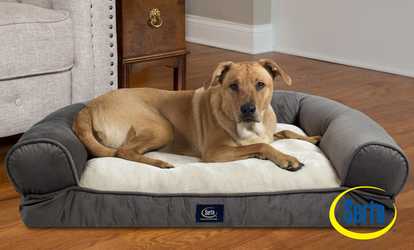 Serta Extra Plush Bolster Dog Bed