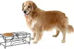 Petmaker Elevated Dog and Cat Feeding Bowls - Second Medium