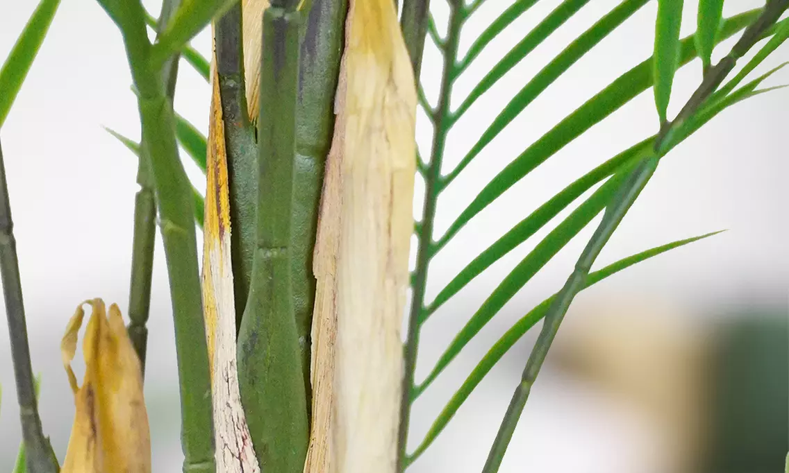 Collezione di piante finte da interno