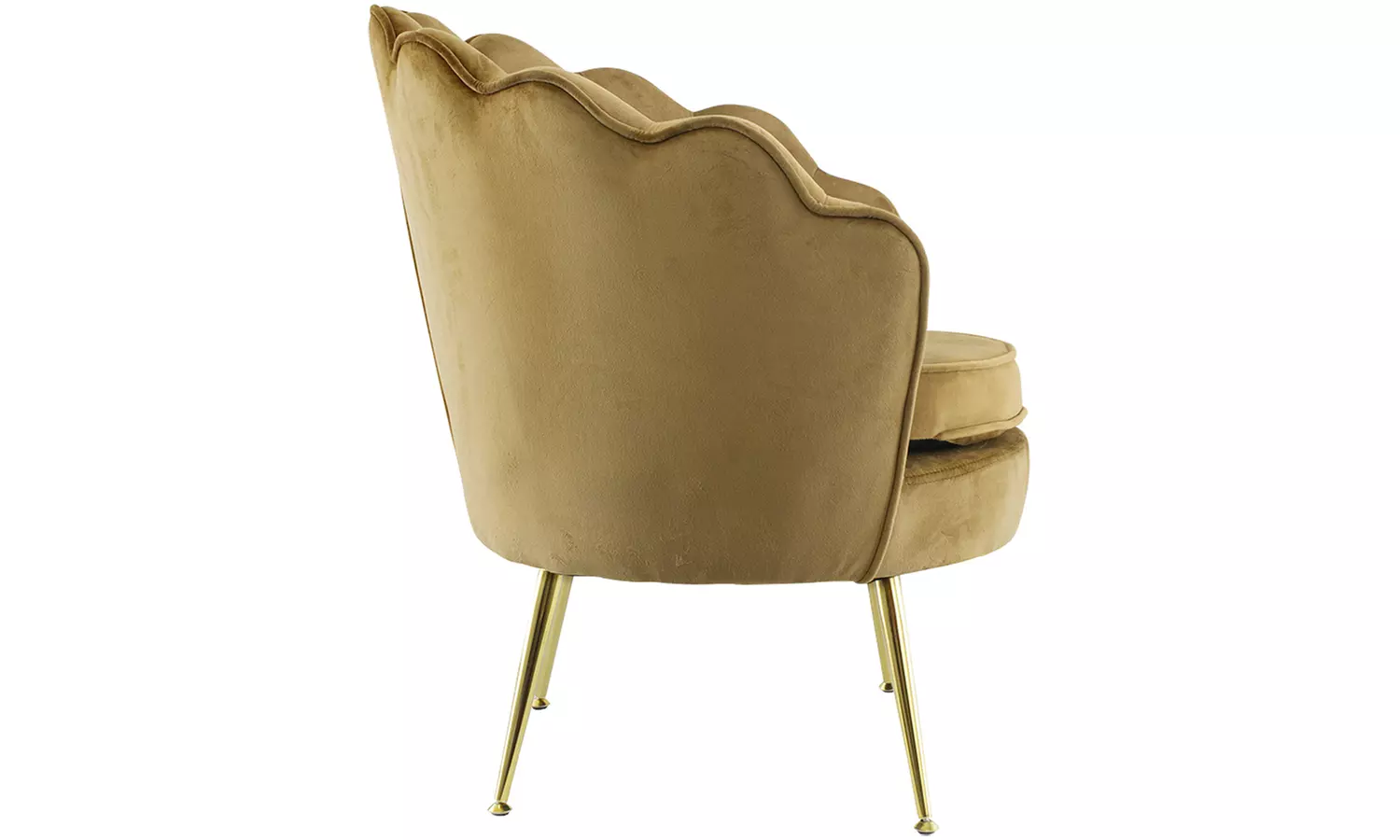 Poltrona con schienale a conchiglia