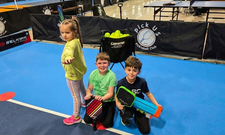 Image 2: Pickleball or Tennis Lessons & Parties in Plymouth, MI