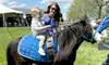Adorable Pony Rides available at Chateau Farms— Save Up to 30% 