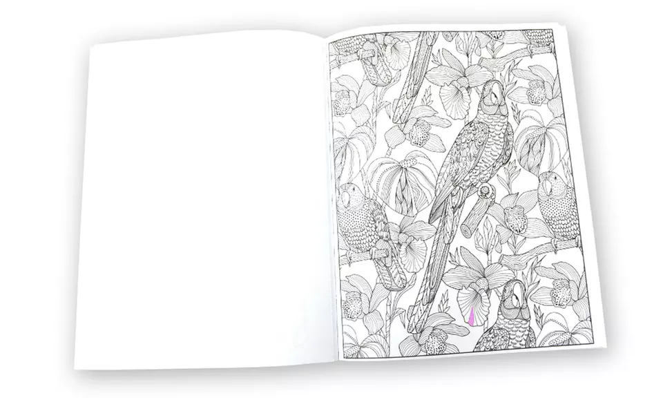 Kaleidoscope Adult Coloring Books and Pencils Set (4-Pack) - Second Medium