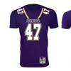 Minnesota - Purple
